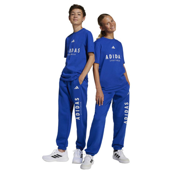 Adidas Παιδικό παντελόνι φόρμας All SZN Graphic Pants